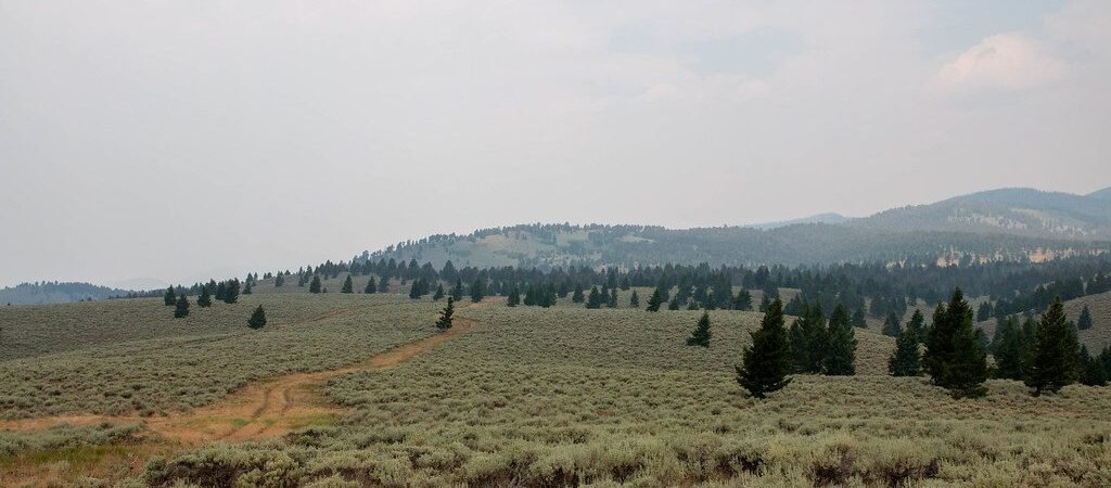 Montana is selling more state trust land than it’s buying