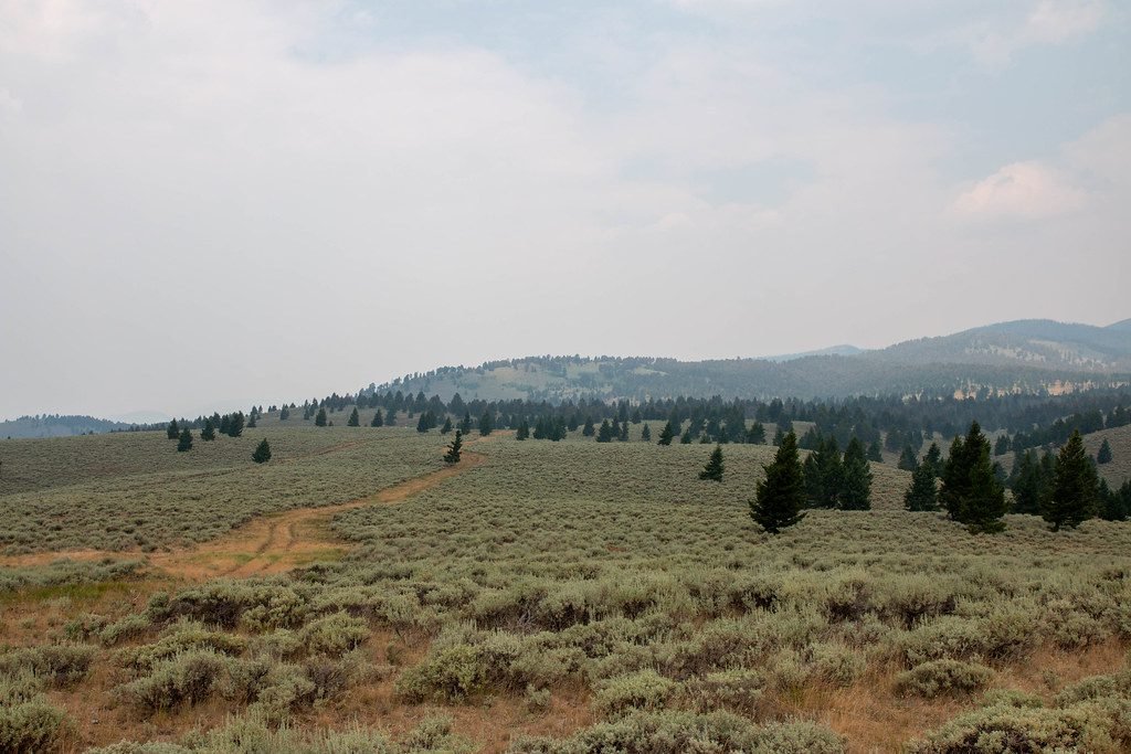 Montana is selling more state trust land than it’s buying