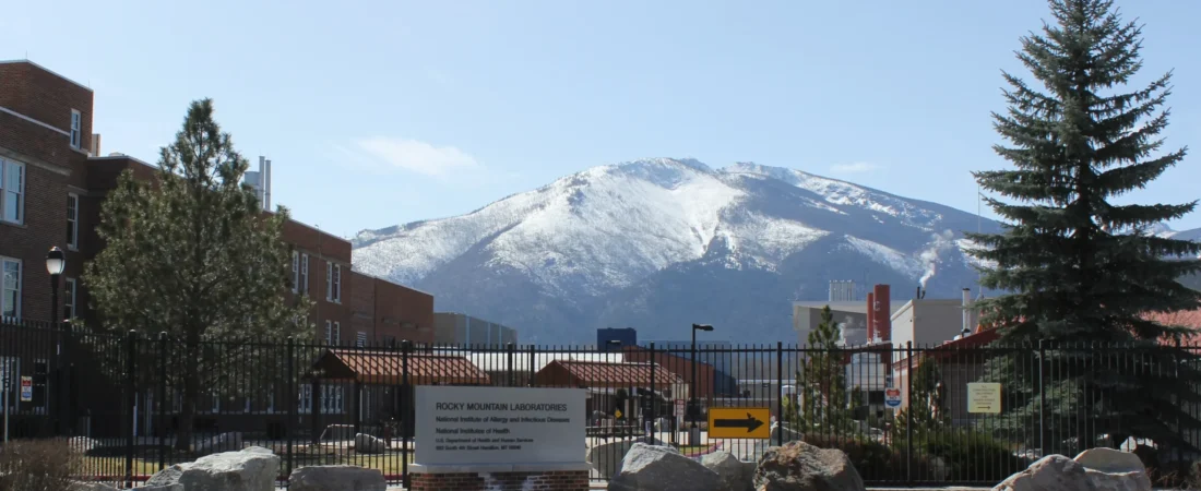 American scientists see prosecutions as part of federal campaign against them