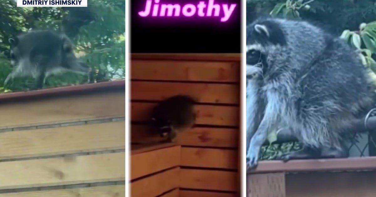 The internet loves Jimothy. But is there more than one?